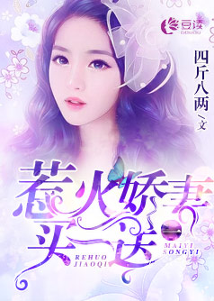 惹火娇妻买一送一【完本】