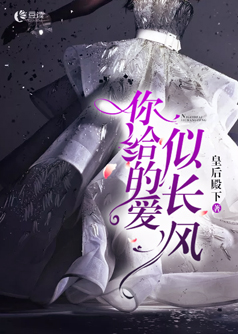 你给的爱似长风【完本】